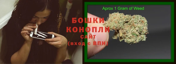 ECSTASY Алзамай