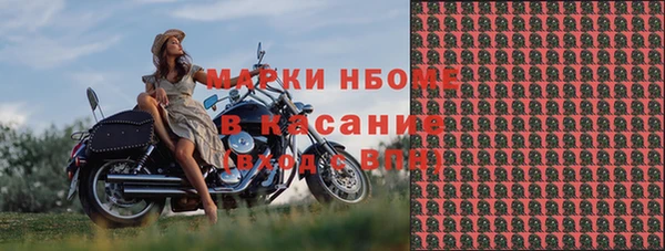 прущие грибы Навашино