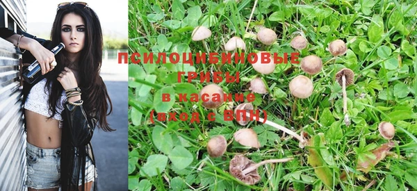 прущие грибы Навашино
